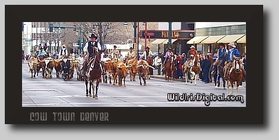 wsteers02 (64K)