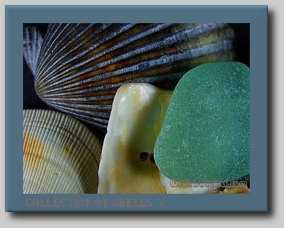 wshells32.2.14 (98K)