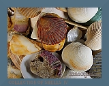 wshells4.2.14t (26K)
