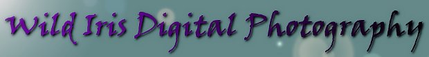 logo (10K)